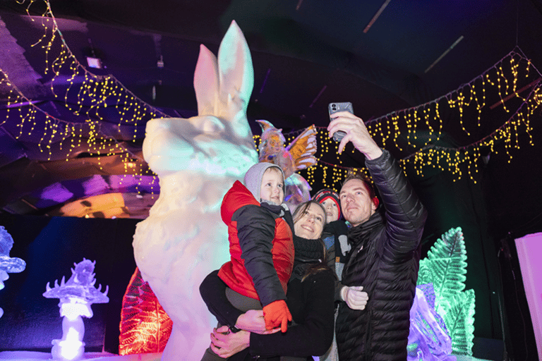 Biddinghuizen: Dutch Ice Sculpture Festival Entry Ticket