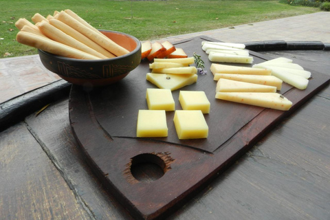 Salta: 2 Wineries and Cheese Factory Tour with Tastings