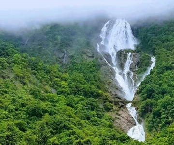 Goa: Dudhsagar-vattenfallet, jeepsafari och kryddplantage