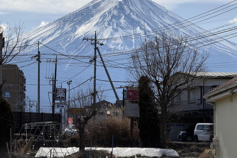 From Tokyo: Private Mt. Fuji SNS Photo Tour by Luxury Car
