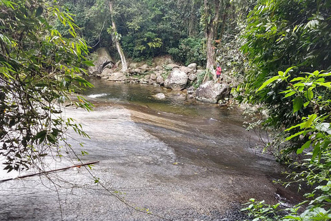 Nature inoubliable : Visite de la forêt de Tijuca et du Jardim Botânico