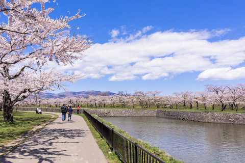 Hokkaido Hakodate 2D1N Tour en autobús por los Cerezos en Flor desde Sapporo2 Personas/1 Habitación