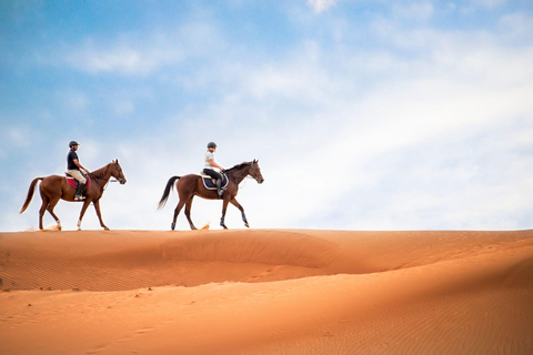Doha: Fursan Al Sahra/Knights of the Desert Horse Experience