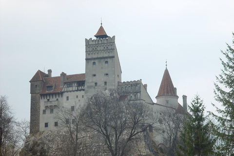 Bucharest: Bran Castle Day Trip with BMW 7 series