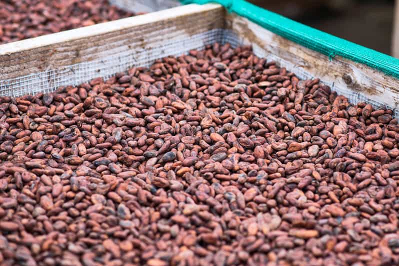 Lahaina Maui Ku’ia Estate Guided Chocolate Tasting GetYourGuide