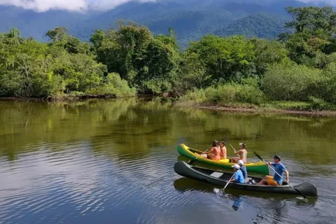 Santos: Tour guiado de caiaque no coração do Parque Estadual
