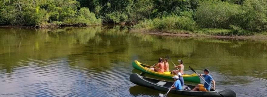 Santos : Visite guidée en kayak au cœur du parc national