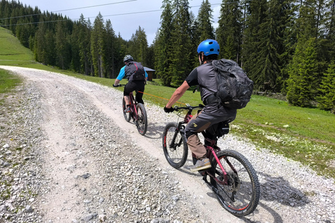 Salzkammergut: Guided e-bike tour to the alpine pastures in Gosau and Hallstatt