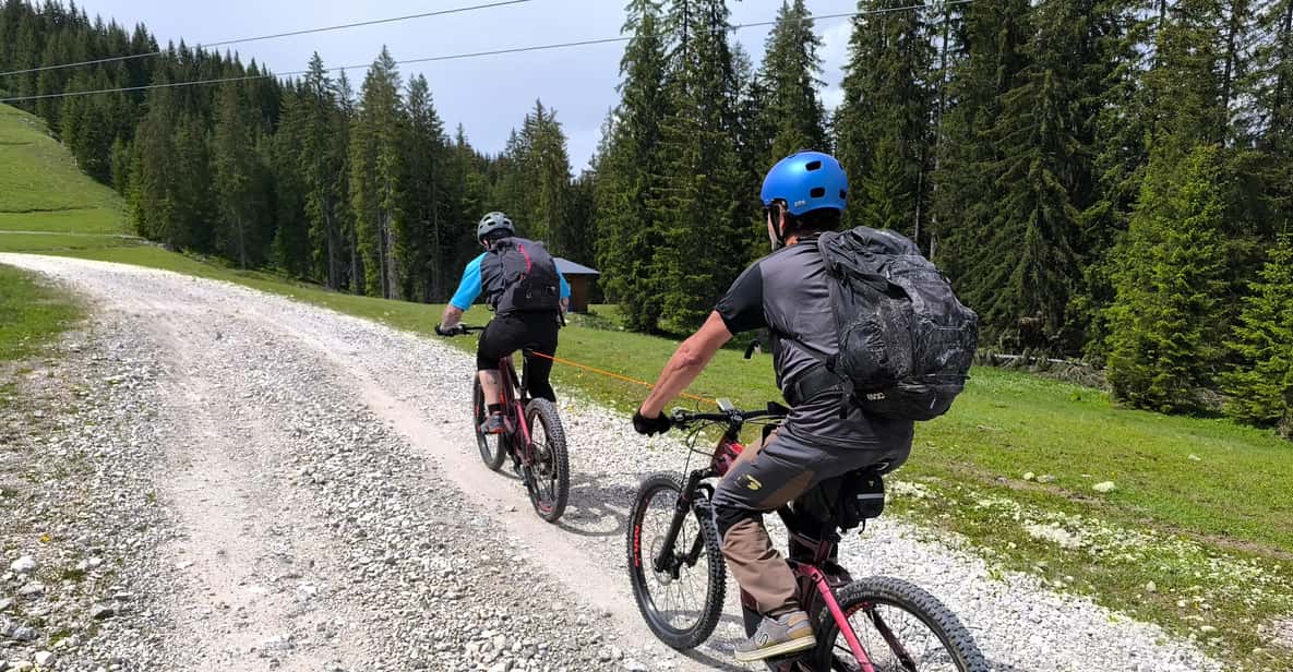 Afbeelding 4 van Salzkammergut: begeleide e-biketocht naar de alpenweiden in Gosau en Hallstatt