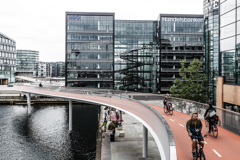 3-stündige Essenz von Kopenhagen E-Bike Tour3-stündige Essenz von Kopenhagen Tour