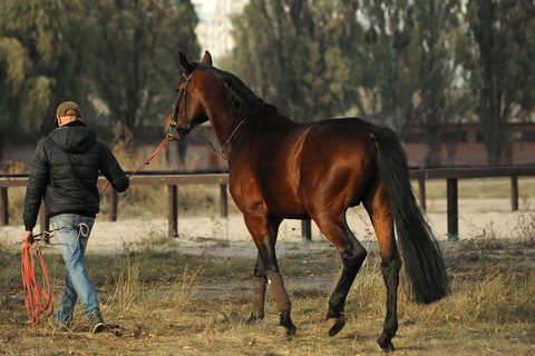 Tbilisi to Gudauri Tour with Rafting Horseback & Paragliding