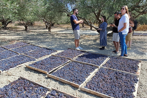 Kreta: Pałac Knossos, winiarnia i oliwa z oliwek z lunchem