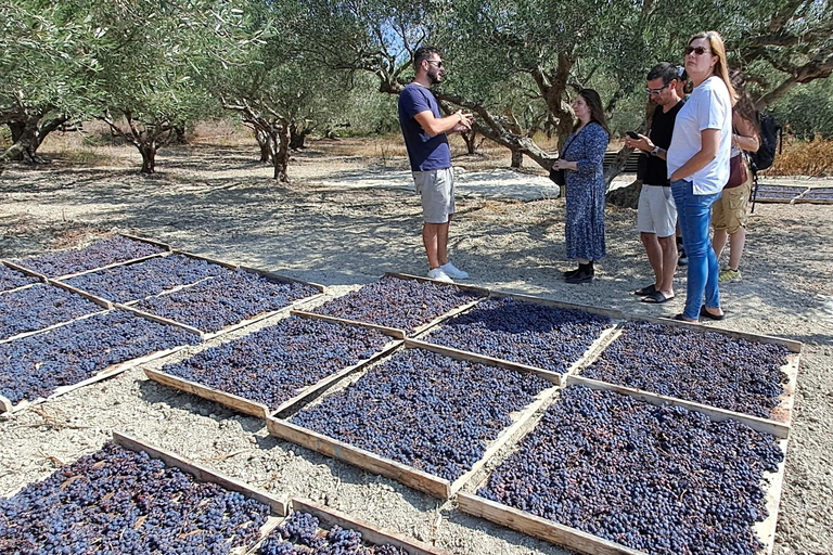 Kreta: Pałac Knossos, winiarnia i oliwa z oliwek z lunchem