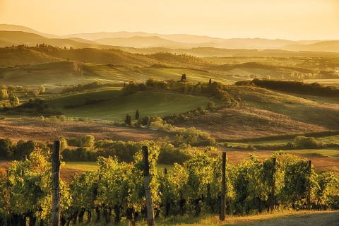 Chianti: wijnproeverij en diner in de wijngaardenTour in het Engels