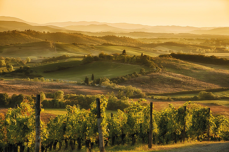 Weinberge des Chianti: Weinprobe und AbendessenTour auf Spanisch