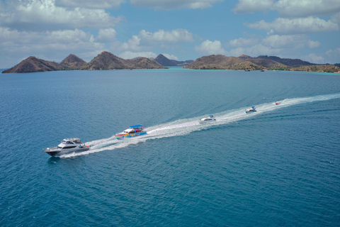 Tour di Komodo di un giorno in motoscafoTour completo di un giorno a Komodo in motoscafo