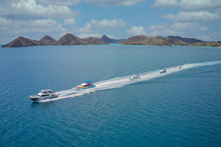 Tour di Komodo di un giorno in motoscafoTour completo di un giorno a Komodo in motoscafo