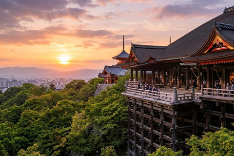 Kyoto: Private Guided Tour With Vehicle and Optional Add-Ons