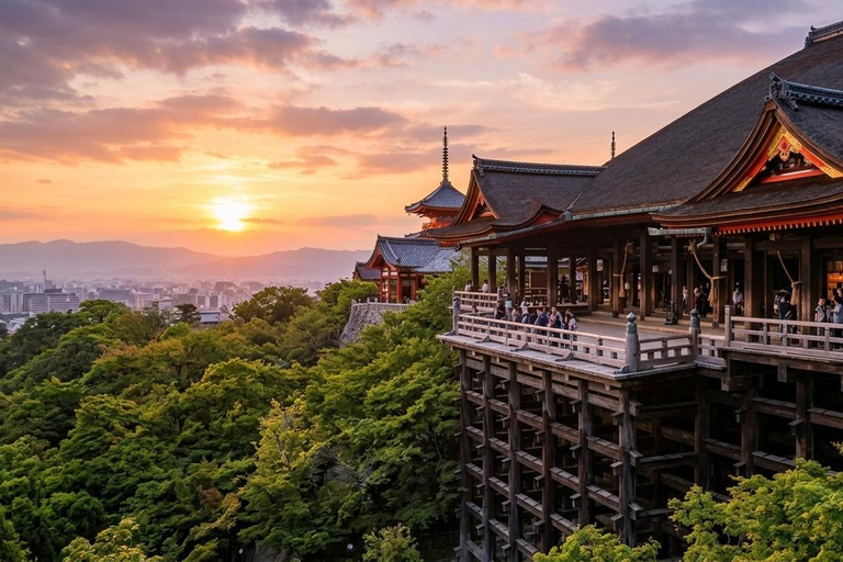 Kyoto: Private Guided Tour With Vehicle and Optional Add-Ons