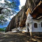 Colombo: Day tour from Colombo to Sigiriya and Dambulla cave | GetYourGuide