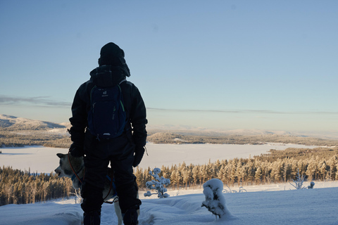 Nordreisa: guided snowshoe tour with a husky Guided snowshoe tour 2h with a husky & snack & campfire