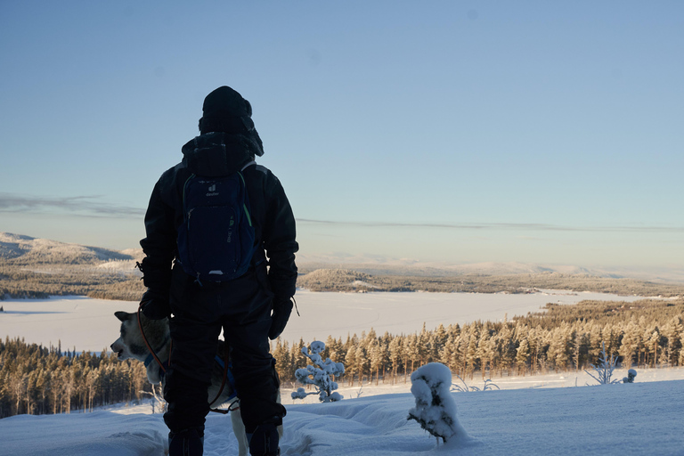 Nordreisa: guided snowshoe tour with a husky Guided snowshoe tour 2h with a husky & snack & campfire