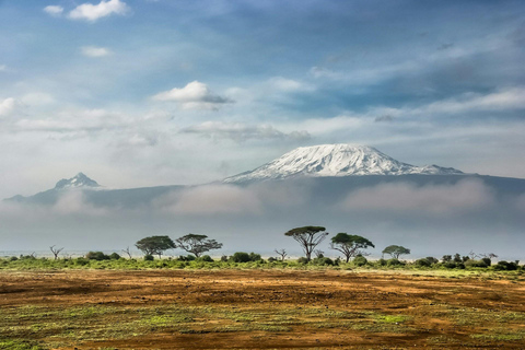 Amboseli National Park: Full Day Tour From Nairobi Overnight Amboseli National Park