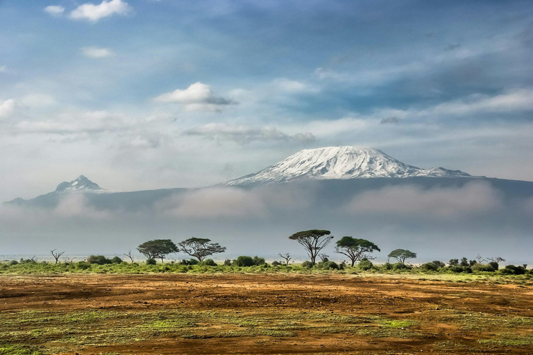 Amboseli National Park: Full Day Tour From Nairobi Overnight Amboseli National Park