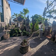 Denpasar: Family Temple Visit with Balinese Snacks and Tea