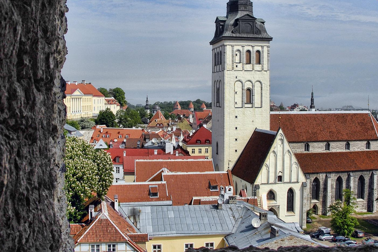 Tallinn: Private Walking Tour with Viru Gate and Toompea …