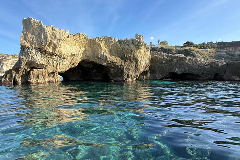 Tropea: Essence of the Coast of the Gods Boat Tour Max. 12 people