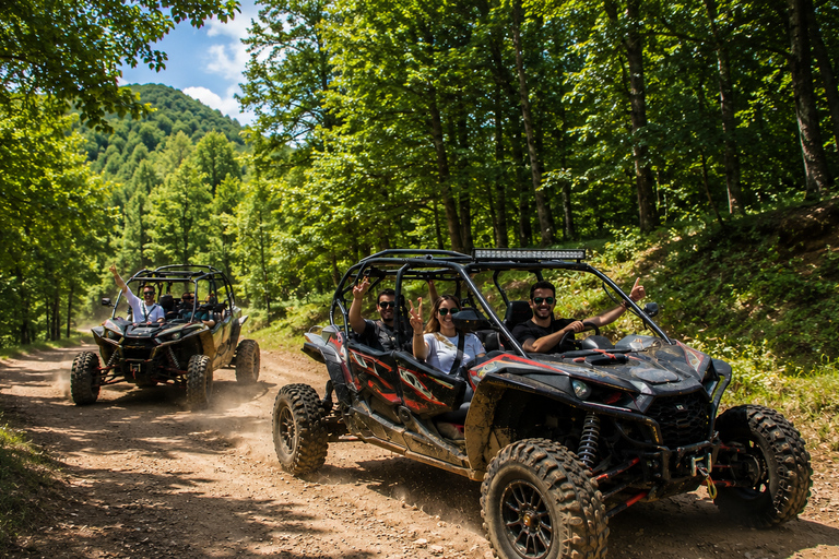 Tbilisi: Buggy Off-Road Adventure with Pickup. PRivat This option is priced per bag.