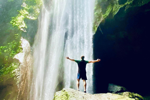 Ubud privato: Cascate, tempio dell&#039;acqua, terrazza di risoTour di un giorno (10-12 ore di tour), escluse le tariffe dei biglietti d&#039;ingresso