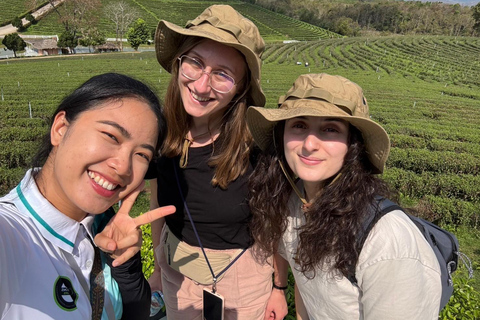 Chiang Rai:Guided Highlights Full-Day Tour-FREE LUNCH BUFFET Experience the Wonders of Chiang Rai with Free Thai Buffet