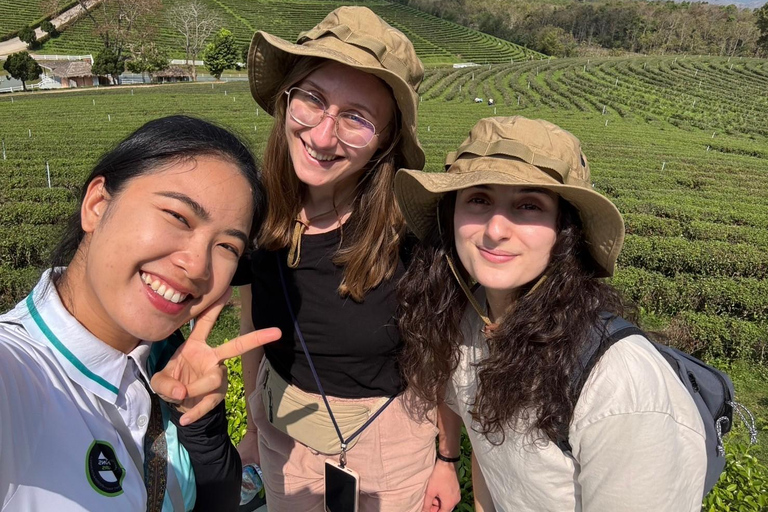 Chiang Rai:Guided Highlights Full-Day Tour-FREE LUNCH BUFFET Experience the Wonders of Chiang Rai with Free Thai Buffet