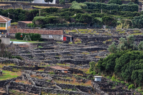 Terceira Island: Full Day North Coast Tour Terceira Island: Full-Day North Coast Tour