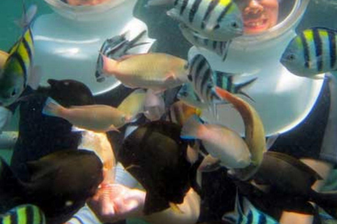 Zanzibar: Under Sea Walk Adventure