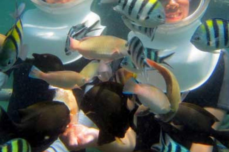 Zanzibar: Under Sea Walk Adventure