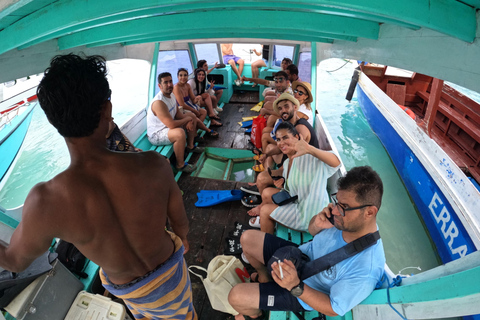 Lombok: Private Early Morning Gili Snorkeling Tour Departure from Gili Islands