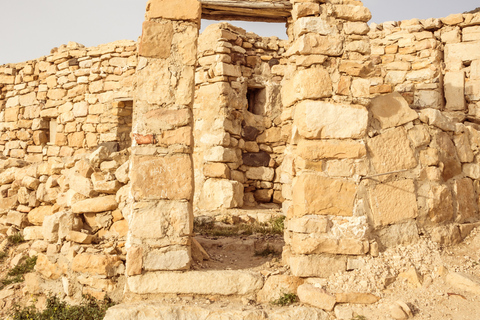 Au départ d&#039;Aqaba : Excursion privée d&#039;une journée dans la réserve naturelle de Dana avec déjeuner