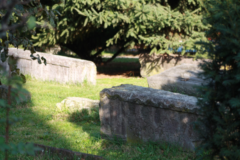 Vanuit Tbilisi: Gori per trein - Stalinmuseum en verborgen parelsPrivé-ervaring