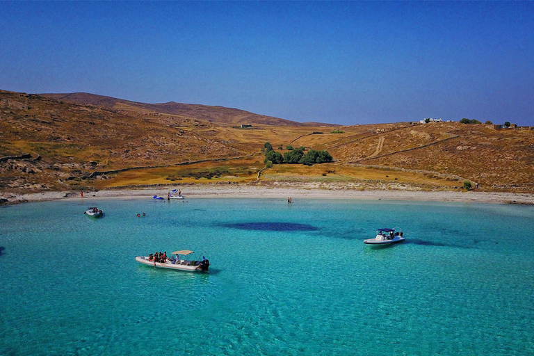 Mykonos : croisière à terre à Delos et Rhenia avec fruits et collationsMykonos : croisière vers Délos et Rhenia avec fruits et collations