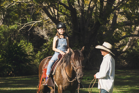 Morning with Horses, Alpacas, Turtles & Breakfast