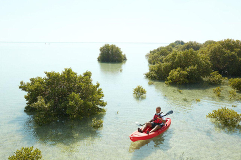 Nord-Katar: Führung durch den Mangrovenwald mit KajakfahrenNordkatar: Führung durch den Mangrovenwald mit Kajakfahren