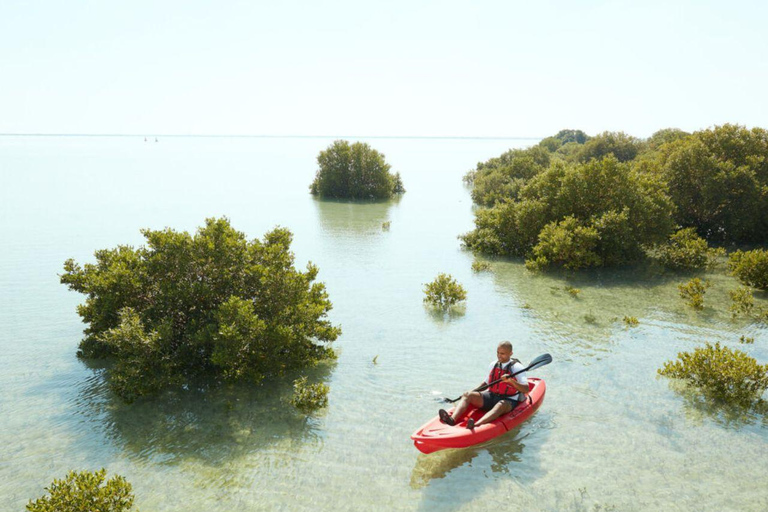 Nord-Katar: Führung durch den Mangrovenwald mit KajakfahrenNordkatar: Führung durch den Mangrovenwald mit Kajakfahren