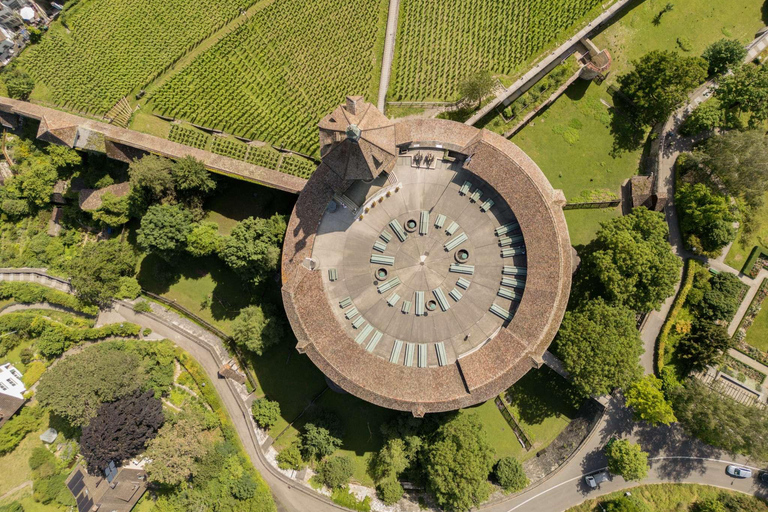 من زيورخ: جولة لنصف يوم في شلالات الراين وشافهاوزن