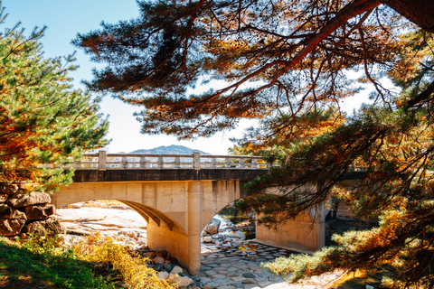 Busan: Discovery Tour With Snow &amp; UNESCO Spot