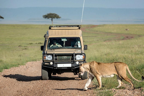 2 dagar 1 natt Selous Fly-in Safari från Zanzibar2 dagar och 1 natt Selous Fly-in Safari från Zanzibar