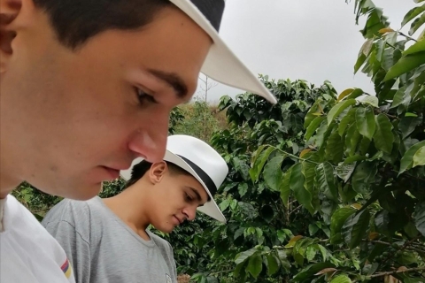 Wycieczka po farmie kawowej Medellín z przejażdżką wózkiem i kolejką linowąMiejska wycieczka kawowa w Barrio La Sierra
