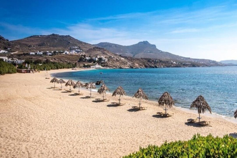 Mykonos : visite en van des 8 lieux d&#039;intérêt incontournables pour les croisiéristes
